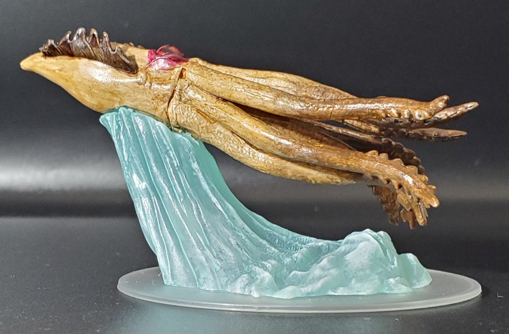 Juvenile Kraken